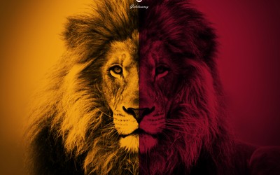 DB电竞-凯特琳福特毕业于名校